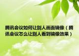 腾讯会议如何让别人画面镜像（腾讯会议怎么让别人看到镜像效果）