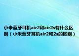小米蓝牙耳机air2和air2s有什么区别（小米蓝牙耳机air2和2s的区别）