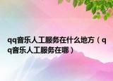qq音乐人工服务在什么地方（qq音乐人工服务在哪）