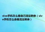vivo手机怎么看自己流量剩余（vivo手机怎么查看流量剩余）