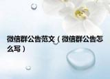 微信群公告范文（微信群公告怎么写）