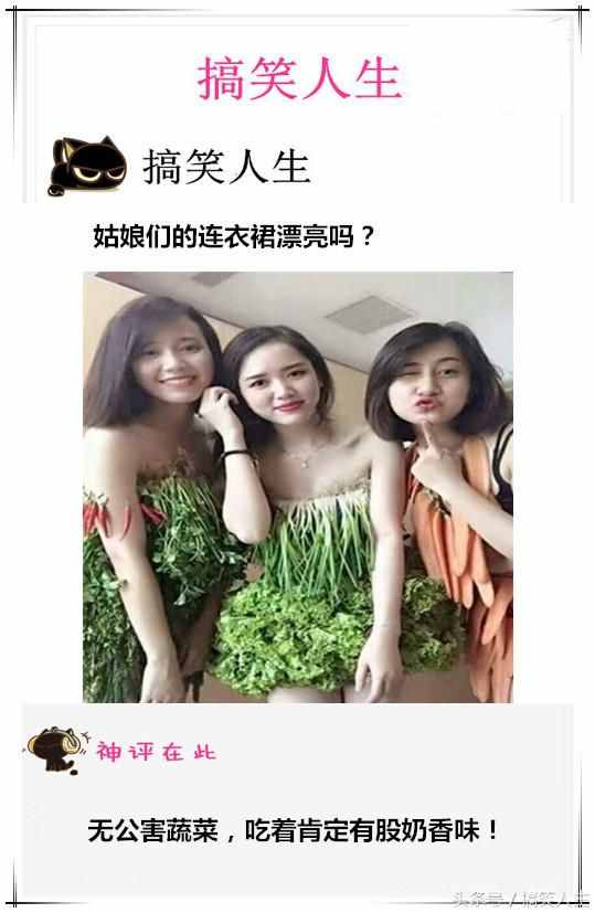 搞笑人生：难怪都说好白菜都被猪拱了，这次真的相信了！