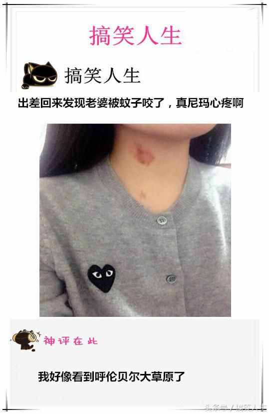 搞笑人生：难怪都说好白菜都被猪拱了，这次真的相信了！