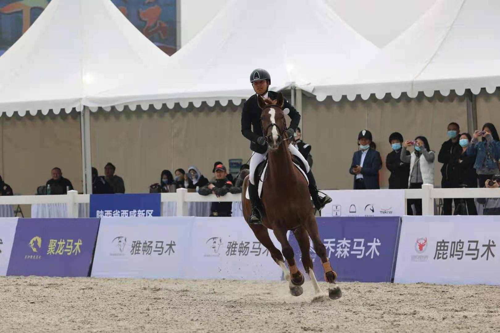 赞就对了！十四运会马术赛场迎“首秀”