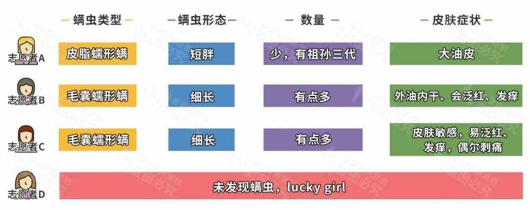 竟然在人脸上找到了螨虫，还在动