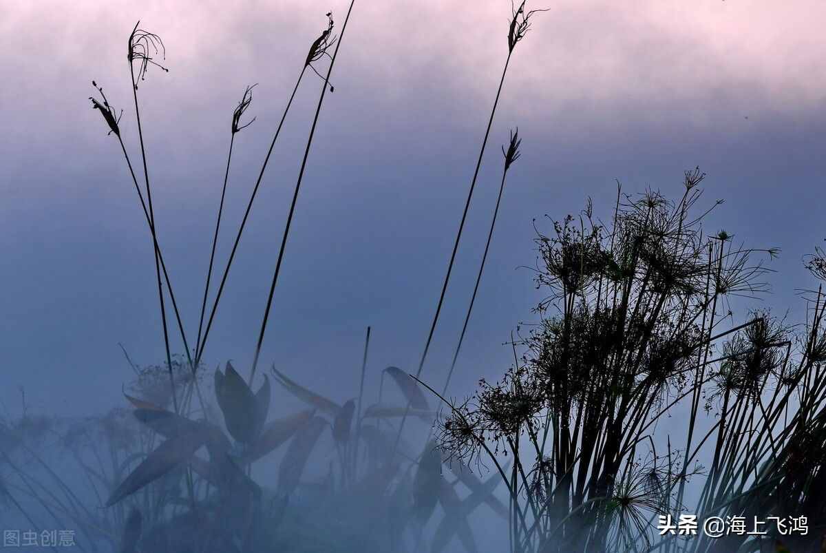 余秀华《与李安源同游玄武湖》赏析