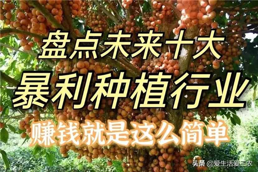 十大暴利种植项目，原来农村赚钱真不难，建议收藏