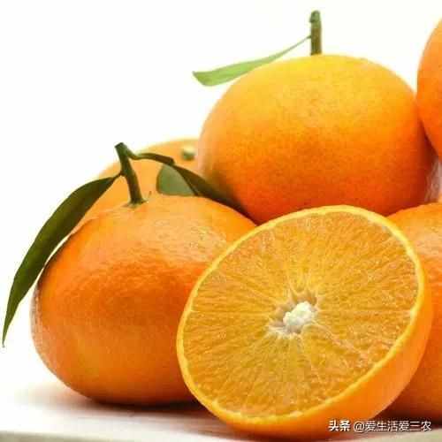 十大暴利种植项目，原来农村赚钱真不难，建议收藏
