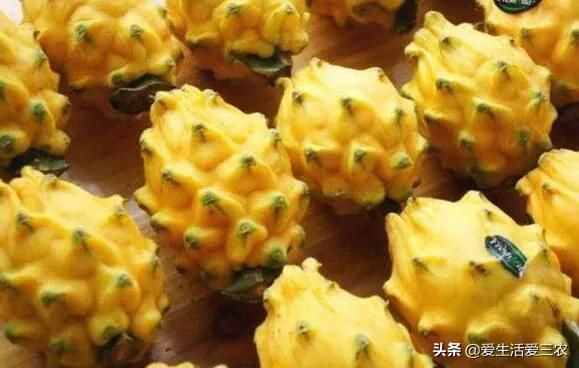 十大暴利种植项目，原来农村赚钱真不难，建议收藏