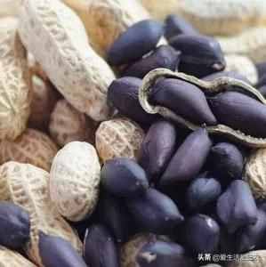 十大暴利种植项目，原来农村赚钱真不难，建议收藏