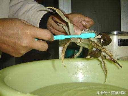 螃蟹清洗技巧和方法：大闸蟹怎么处理才能清洗干净内脏和身体？