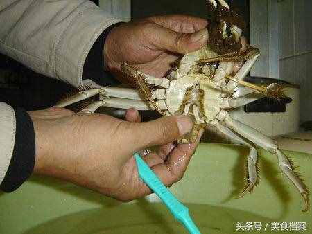 螃蟹清洗技巧和方法：大闸蟹怎么处理才能清洗干净内脏和身体？