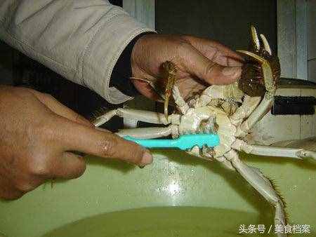 螃蟹清洗技巧和方法：大闸蟹怎么处理才能清洗干净内脏和身体？