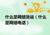 什么是网络货运（什么是网络电话）