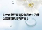 为什么蓝牙耳机没有声音（为什么蓝牙耳机没有声音）