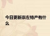 今日更新崇左特产有什么