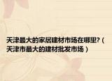 天津最大的家居建材市场在哪里?（天津市最大的建材批发市场）