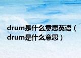 drum是什么意思英语（drum是什么意思）