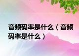 音频码率是什么（音频码率是什么）