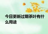 今日更新过期茶叶有什么用途