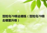 冒险岛70级去哪练（冒险岛70级去哪里升级）