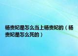 杨贵妃是怎么当上杨贵妃的（杨贵妃是怎么死的）
