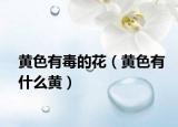 黄色有毒的花（黄色有什么黄）