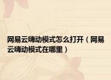 网易云嗨动模式怎么打开（网易云嗨动模式在哪里）