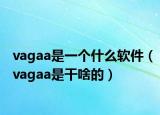 vagaa是一个什么软件（vagaa是干啥的）