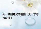 大一寸照片尺寸例图（大一寸照片尺寸）