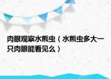 肉眼观察水熊虫（水熊虫多大一只肉眼能看见么）