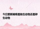 今日更新蝴蝶是胎生动物还是卵生动物