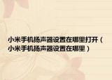 小米手机扬声器设置在哪里打开（小米手机扬声器设置在哪里）