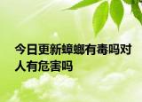 今日更新蟑螂有毒吗对人有危害吗