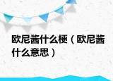 欧尼酱什么梗（欧尼酱什么意思）