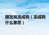 朋友说冻成狗（冻成狗什么意思）