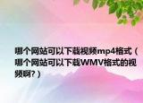 哪个网站可以下载视频mp4格式（哪个网站可以下载WMV格式的视频啊?）