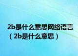 2b是什么意思网络语言（2b是什么意思）