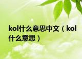 kol什么意思中文（kol什么意思）