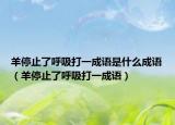 羊停止了呼吸打一成语是什么成语（羊停止了呼吸打一成语）