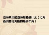 沧海桑田的沧海指的是什么（沧海桑田的沧海指的是哪个海）