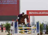 今日更新马术比赛（十四运会马术赛场迎首秀）
