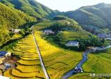 今日更新联合梯田（中国10大最美的梯田景观）