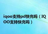 iqoo支持pd快充吗（IQOO支持快充吗）