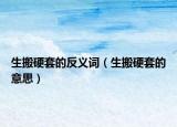 生搬硬套的反义词（生搬硬套的意思）