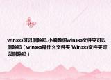 winsxs可以删除吗,小编教你winsxs文件夹可以删除吗（winsxs是什么文件夹 Winsxs文件夹可以删除吗）