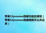 苹果13promax隐藏功能在哪里（苹果13promax隐藏相册怎么弄出来）