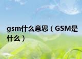 gsm什么意思（GSM是什么）