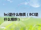 bci是什么物质（BCI是什么组织）