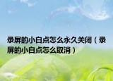 录屏的小白点怎么永久关闭（录屏的小白点怎么取消）